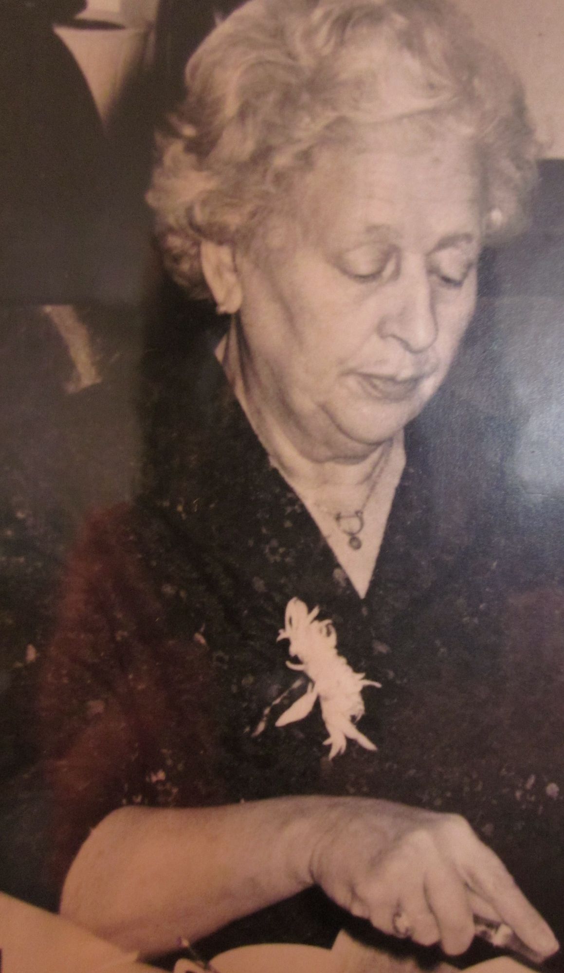 johanna_theodora_donata__hanneke__van_de_kamp_004.jpg